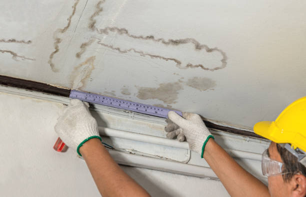 Reliable Water Damage contractor in Hopewell, VA by Water Damage Irwin